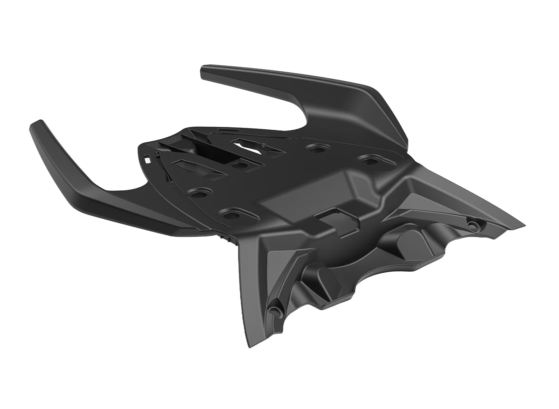 Maniglia passeggero per Aprilia RS 457 (24-)