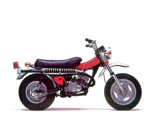 RV 125 2 tempi 1973-1981 (RV125)