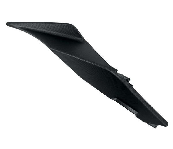 Carena posteriore destra in carbonio per Tuono 125
