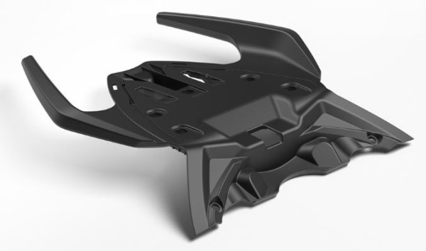 Maniglia passeggero per Aprilia RS 457 (24-)